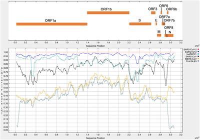 A Comprehensive Analysis of cis-Acting RNA Elements in the SARS-CoV-2 Genome by a Bioinformatics Approach